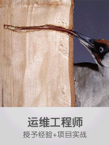 213 283运维工程师.gif