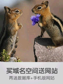213 283买域名空间送网站.gif